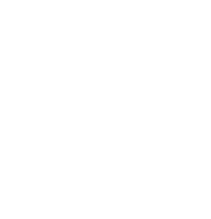 vvs fagmann - logo